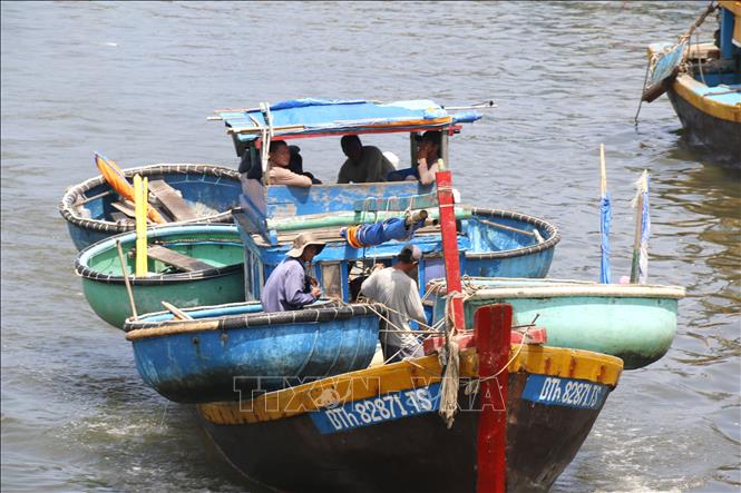 Ngư dân tỉnh Lâm Đồng vươn khơi bám biển. Ảnh: Hồng Hiếu - TTXVN