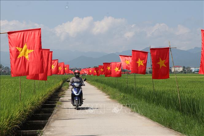 Tuyến đường trên cánh đồng Mường Thanh rợp bóng cờ Tổ quốc. Ảnh: Phan Quân - TTXVN