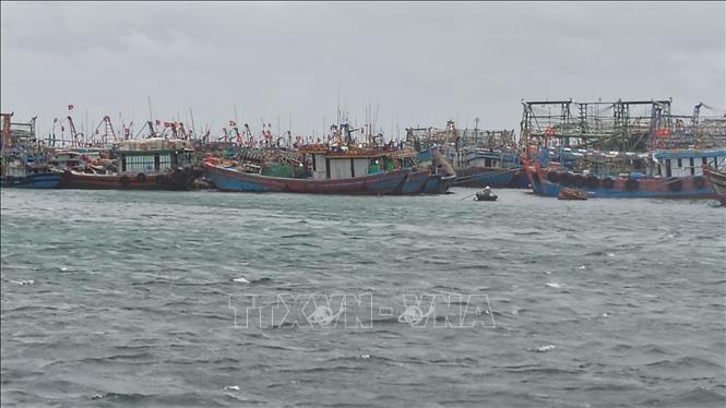 Nhiều phương tiện đã được đưa vào âu thuyền an toàn. Ảnh: TTXVN phát