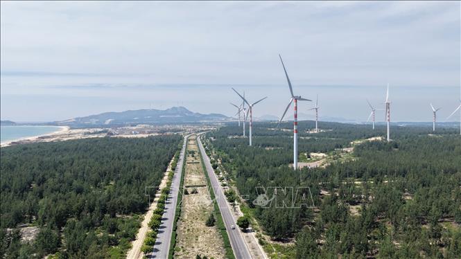 Gia Lai phát triển mạnh các dự án năng lượng xanh với những trụ điện gió ven biển
Ảnh: Sỹ Thắng/TTXVN