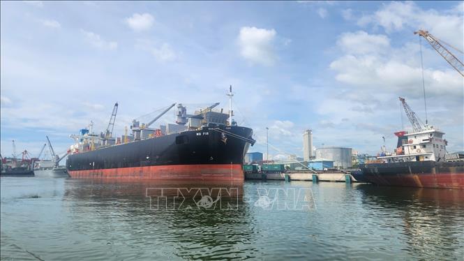 Hệ thống cảng biển, logicstic sẽ được Gia Lai chú trọng phát triển trong thời gian tới
Ảnh: Sỹ Thắng/TTXVN