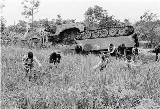 Bước ra khỏi chiến tranh, nhân dân các tỉnh phía Nam với tinh thần đồng khởi đã tập trung cao độ sức lực, mang về những vụ lúa thắng lợi. Ảnh: Văn Bảo – TTXVN
