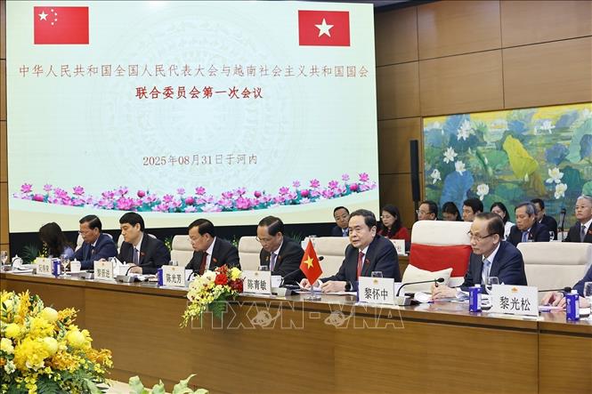 Chủ tịch Quốc hội Trần Thanh Mẫn phát biểu. Ảnh: Doãn Tấn - TTXVN