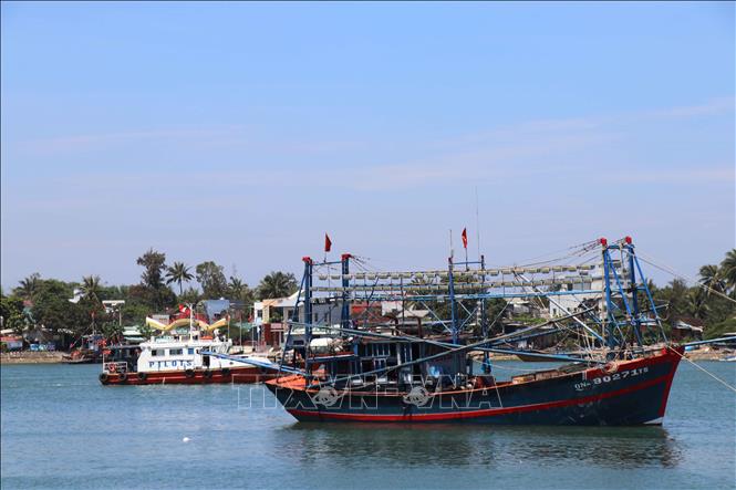 Để xây dựng ngành kinh tế biển hiện đại, bền vững, Tam Hải đã cấp lại đăng ký mới cho toàn bộ tàu cá và không còn tàu cá “3 không”. Ảnh: Đoàn Hữu Trung - TTXVN