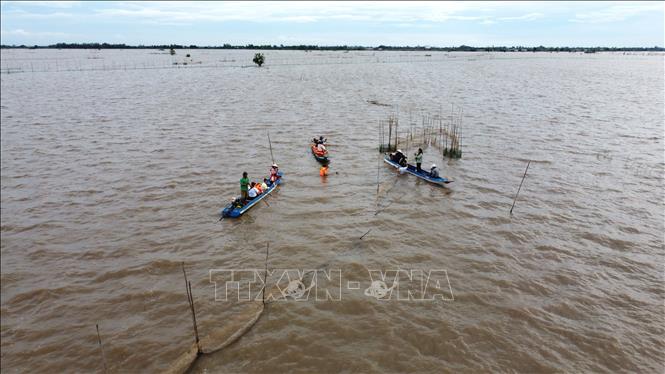Du khách trải nghiệm mùa nước nổi trên cánh đồng ở ấp Giồng Bàng, xã Thường Phước. Ảnh: Nhựt An - TTXVN