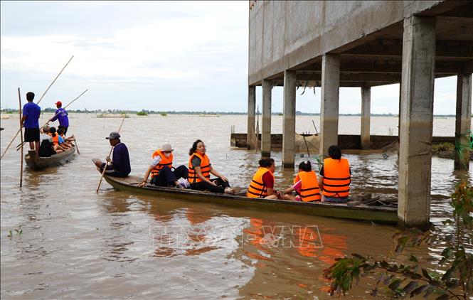 Nông dân xã Thường Phước (tỉnh Đồng Tháp) chở du khách ra đồng, trải nghiệm mùa nước nổi. Ảnh: Nhựt An - TTXVN