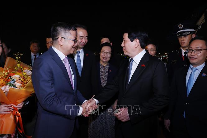 Đại sứ Việt Nam tại Trung Quốc Phạm Thanh Bình đón Chủ tịch nước Lương Cường tại sân bay Bắc Kinh. Ảnh: Lâm Khánh – TTXVN
