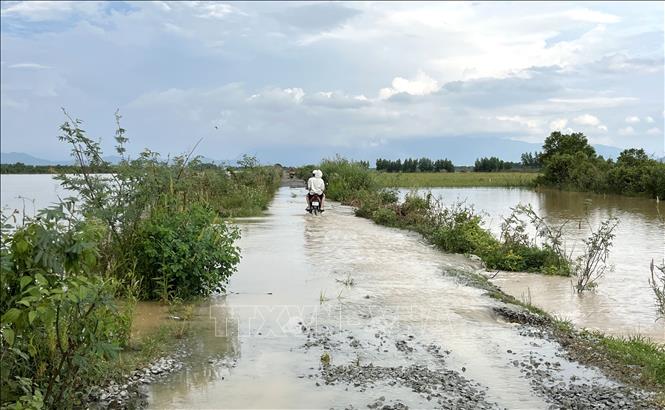 Nước lũ về ngập tràn các tuyến đường nội đồng khu vực xã Nam Thành. Ảnh: Hồng Hiếu- TTXVN