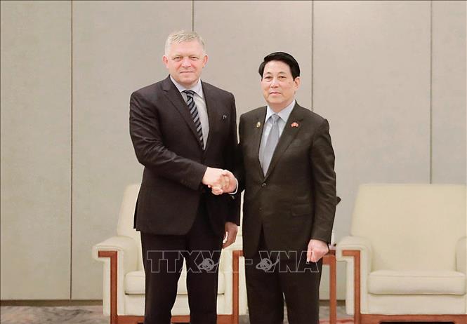 Chủ tịch nước Lương Cường hội kiến Thủ tướng Slovakia Robert Fico. Ảnh: TTXVN