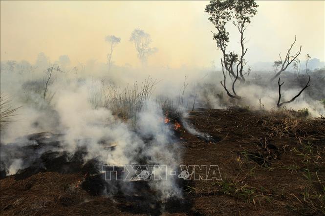 Khói bốc lên từ đám cháy rừng tại Ogan Ilir, Nam Sumatra, Indonesia. Ảnh: THX/TTXVN