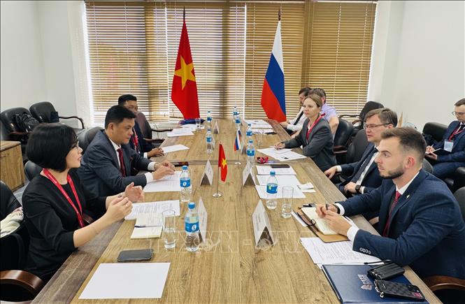 Buổi làm việc giữa đoàn ĐHNN Đà Nẵng và Đại học Liên bang Viễn Đông. Ảnh: Tâm Hằng - Phóng viên TTXVN tại LB Nga