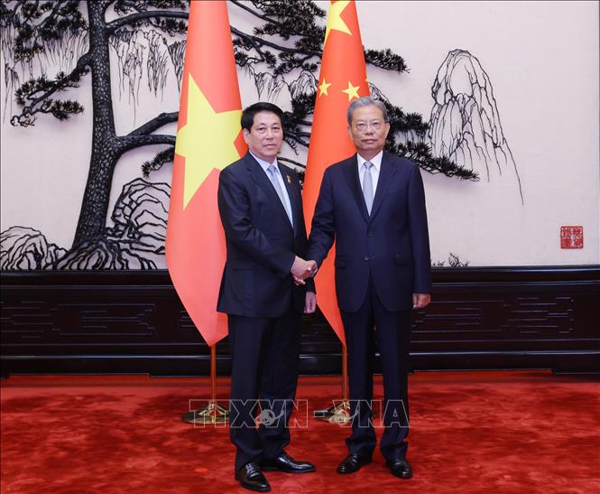 Chủ tịch nước Lương Cường hội kiến Ủy viên trưởng Nhân đại toàn quốc Trung Quốc Triệu Lạc Tế. Ảnh: Lâm Khánh – TTXVN
