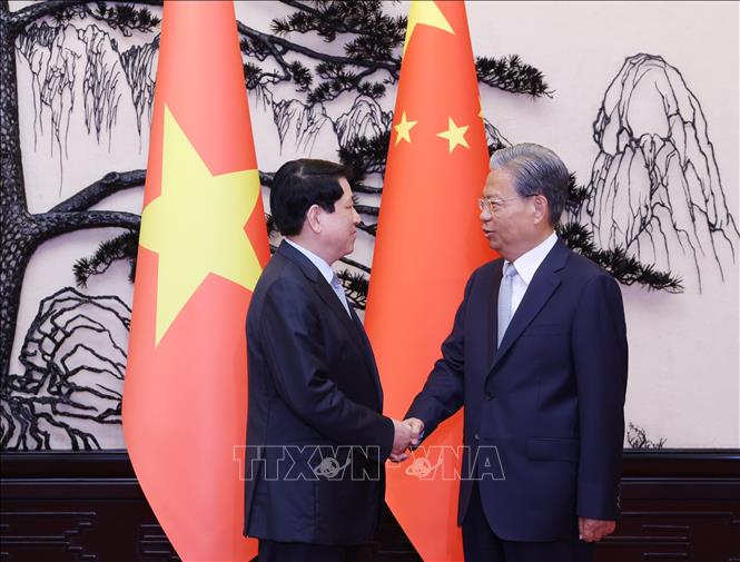 Chủ tịch nước Lương Cường hội kiến Ủy viên trưởng Nhân đại toàn quốc Trung Quốc Triệu Lạc Tế. Ảnh: Lâm Khánh – TTXVN