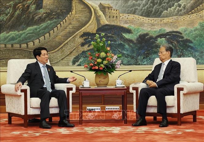  Chủ tịch nước Lương Cường hội kiến Ủy viên trưởng Nhân đại toàn quốc Trung Quốc Triệu Lạc Tế. Ảnh: Lâm Khánh – TTXVN