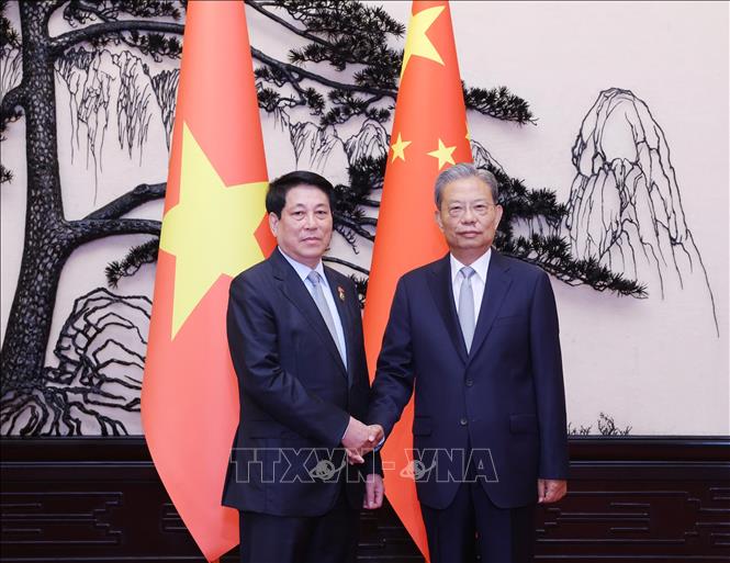 Chủ tịch nước Lương Cường hội kiến Ủy viên trưởng Nhân đại toàn quốc Trung Quốc Triệu Lạc Tế. Ảnh: Lâm Khánh – TTXVN