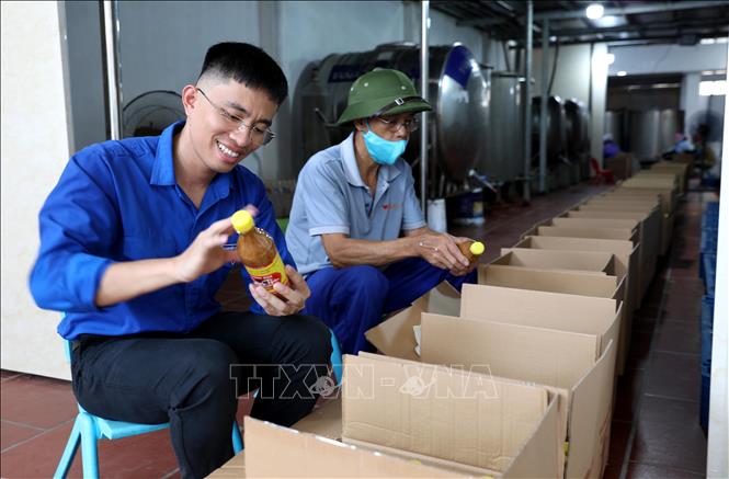 Giữa bộn bề khó khăn của làng nghề, anh Lê Minh Điệp, tổ dân phố Cộng Hòa, phường Mỹ Hào vẫn quyết tâm gắn bó với nghề làm tương truyền thống của địa phương. Ảnh: Thế Duyệt -  TTXVN