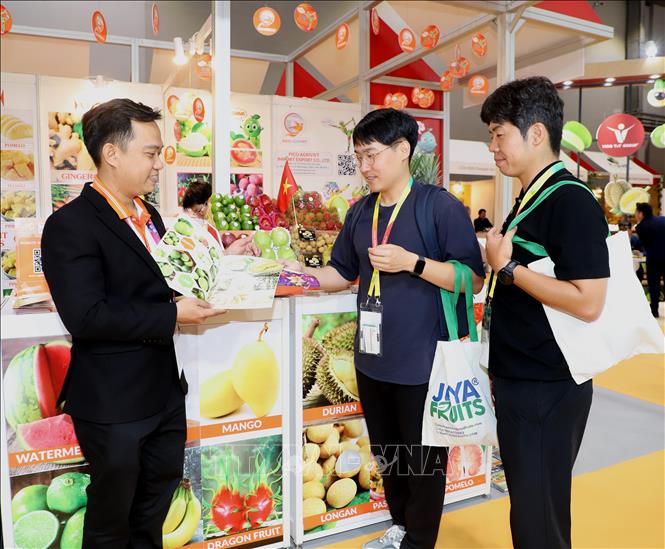 Visitors are interested in Vietnamese fruits. VNA Photo: Xuân Vịnh