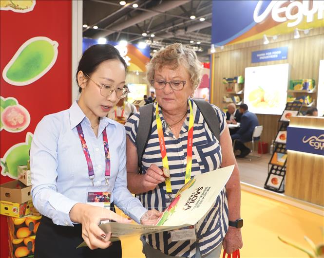 Visitors are interested in Vietnamese fruits. VNA Photo: Xuân Vịnh