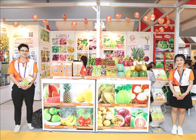 The Vietnam Fruit and Vegetable Association (Vinafruit) brings 22 enterprises with 24 booths to the fair. VNA Photo: Xuân Vịnh