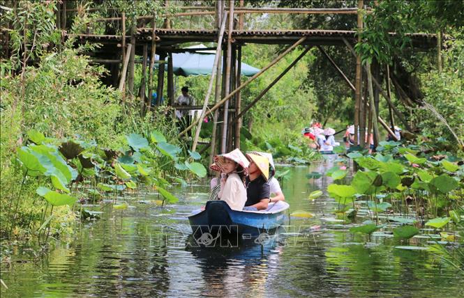 Tourists take boat trips to Tra Su Cajuput Forest Tourist Site in An Giang province. VNA Photo 