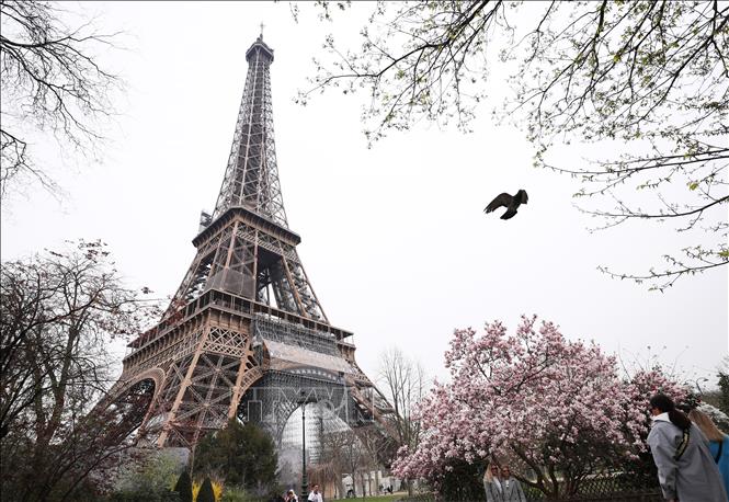 Tháp Eiffel tại thủ đô Paris, Pháp. Ảnh: THX/TTXVN