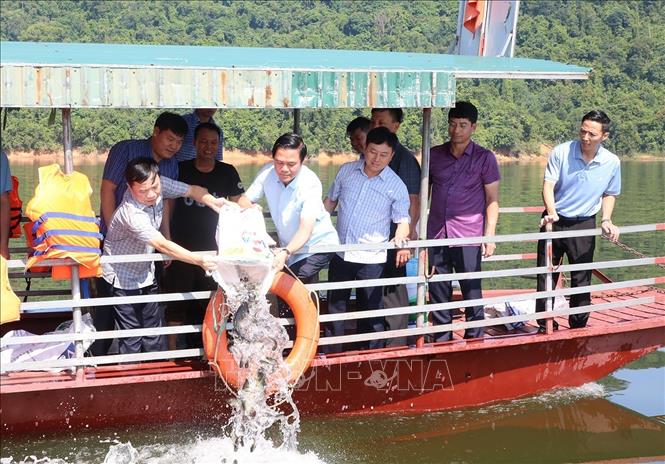 Phó Chủ tịch UBND tỉnh Bắc Ninh Lê Xuân Lợi (thứ 2 từ trái) thả cá xuống Hồ Cấm Sơn. Ảnh: Thái Hùng- TTXVN