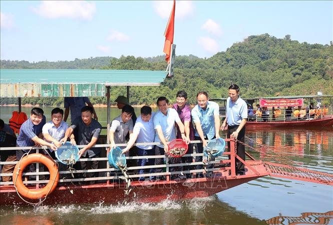 Các đại biểu thả cá giống trên hồ Cấm Sơn. Ảnh: Thái Hùng- TTXVN