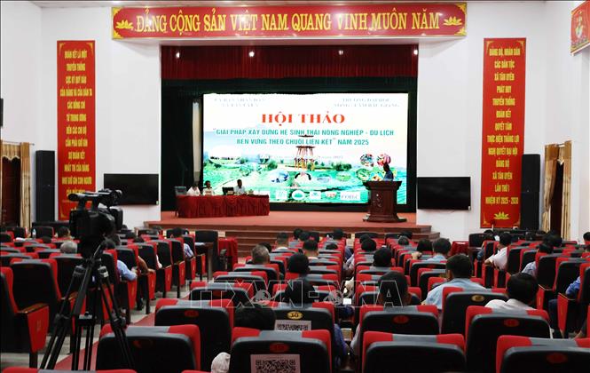 Hội thảo 