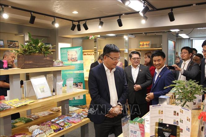 Phó Thủ tướng Chính phủ Lê Thành Long và đoàn công tác thăm cơ sở kinh tế kiều bào tại Osaka. Ảnh: Pv TTXVN tại Nhật Bản