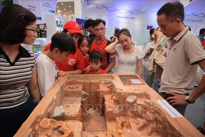 Hiện vật được trưng bày tại khu Khoa học Trái Đất. Ảnh: Hoàng Hiếu - TTXVN