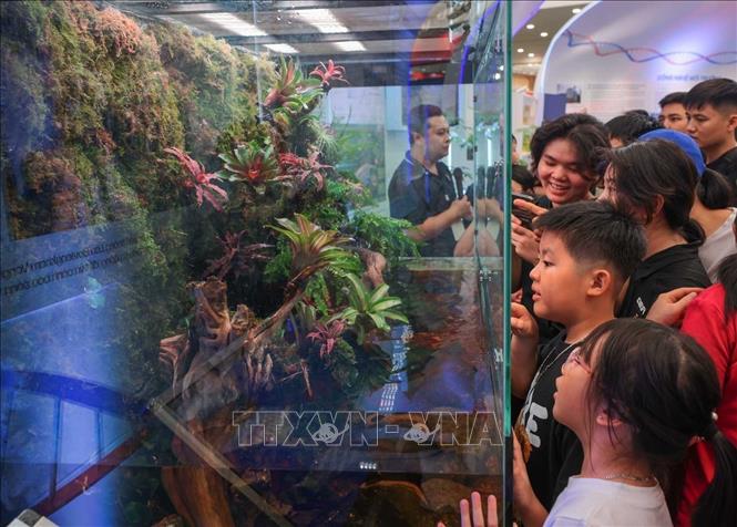 Du khách tham quan, tìm hiểu về thiên nhiên tại khu vực trưng bày Khoa học sự sống. Ảnh: Hoàng Hiếu - TTXVN