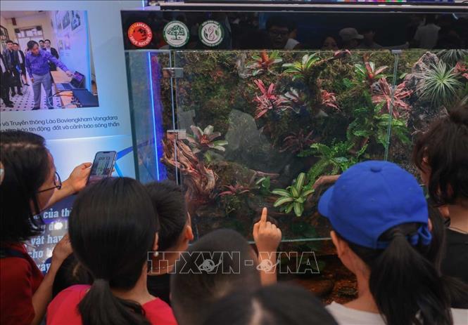 Du khách tham quan, tìm hiểu về thiên nhiên tại khu vực trưng bày Khoa học sự sống. Ảnh: Hoàng Hiếu - TTXVN