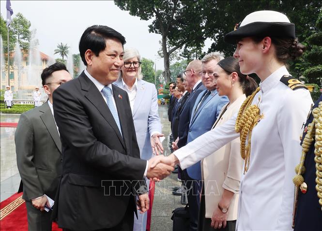 Toàn quyền Australia Sam Mostyn giới thiệu thành viên đoàn Australia với Chủ tịch nước Lương Cường. Ảnh: Lâm Khánh – TTXVN