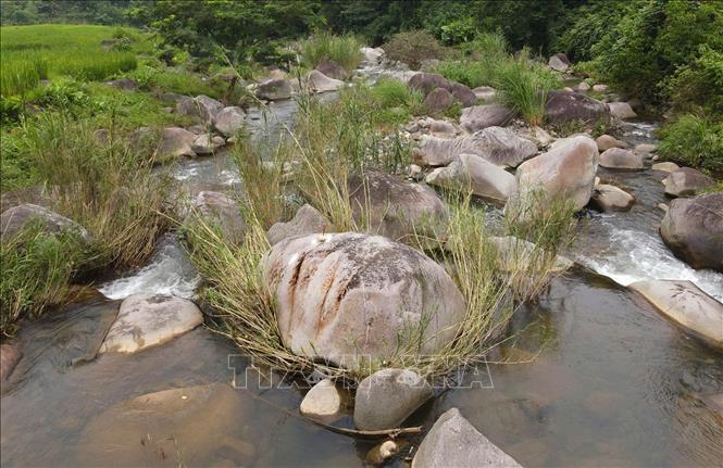 Những khối đá lưu giữ hình khắc cổ cổ xưa nằm giữa dòng suối Cỏ. Ảnh: Trọng Đạt-TTXVN
