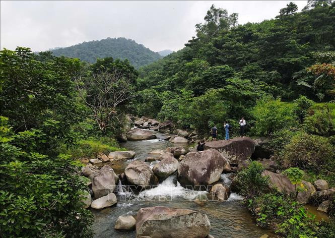 Khu vực trung tâm của bãi đá có hình khắc cổ nằm trên suối bao quanh là rừng rậm, những dãy đồi cao bao bọc cùng các thửa ruộng bậc thang. Ảnh: Trọng Đạt-TTXVN