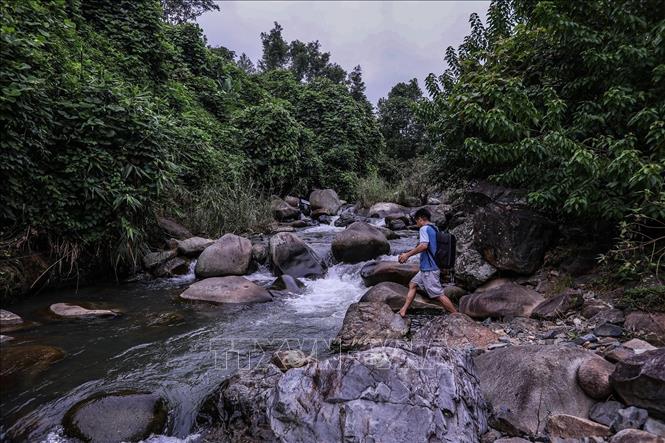 Hành trình vượt qua những khối đá trơn trượt, những đoạt nước sâu chảy siết để được trực tiếp khám phá, chiêm ngưỡng những khối đá có hình khắc cổ tại xóm Suối Cỏ xã Nhân Nghĩa. Ảnh: Trọng Đạt-TTXVN