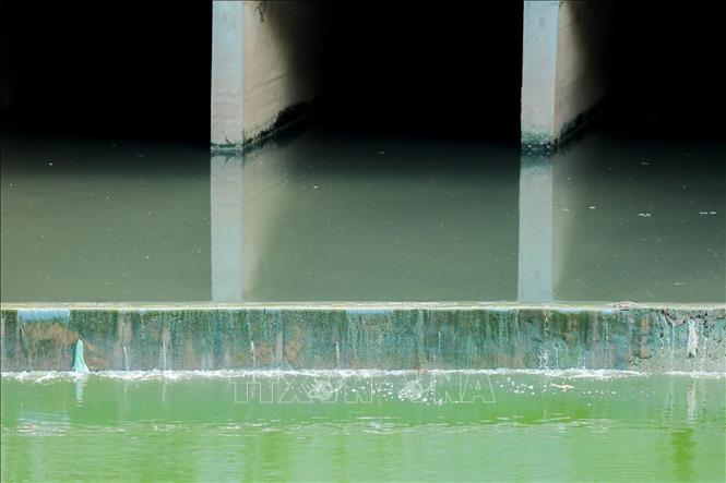 Để duy trì màu xanh của con sông, cần hạn chế cống xả thải nước sinh hoạt đổ vào sông Tô Lịch. Ảnh: Lê Đông - TTXVN