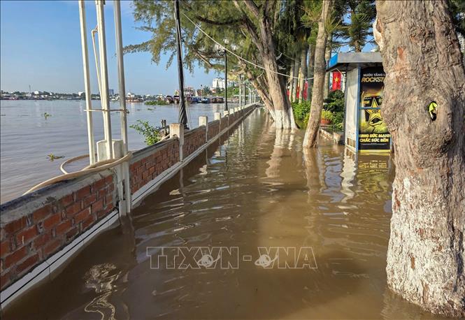 Bến Ninh Kiều ngập sâu do nước từ sông Cần Thơ tràn vào khi triều cường lên cao ngày 11/9/2025. Ảnh: Thanh Liêm - TTXVN
