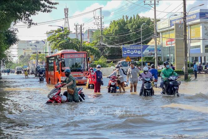 Đường Cách Mạng Tháng Tám, phường Cái Khế, thành phố Cần Thơ ngập sâu trong sáng 11/9/2025 khi triều cường vượt báo động 3. Ảnh: Thanh Liêm - TTXVN