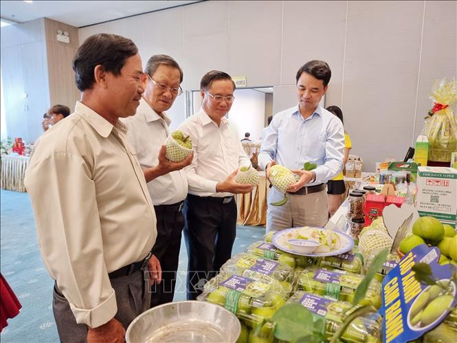 Sản phẩm OCOP, sản phẩm đặc thù của các hợp tác xã được được giới thiệu tại một sự kiện do Liên minh Hợp tác xã tỉnh Khánh Hòa tổ chức. Ảnh: Nguyễn Thành – TTXVN