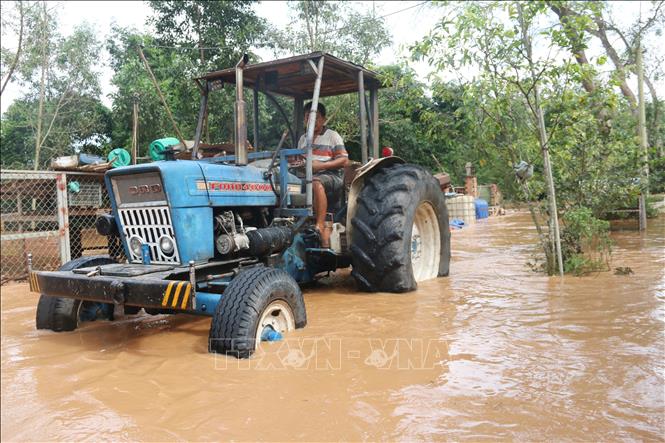 Một số người dân xã An Viễn, tỉnh Đồng Nai, phải dùng máy cày để hỗ trợ hàng xóm di dời tài sản lên vị trí cao. Ảnh: Lê Xuân-TTXVN