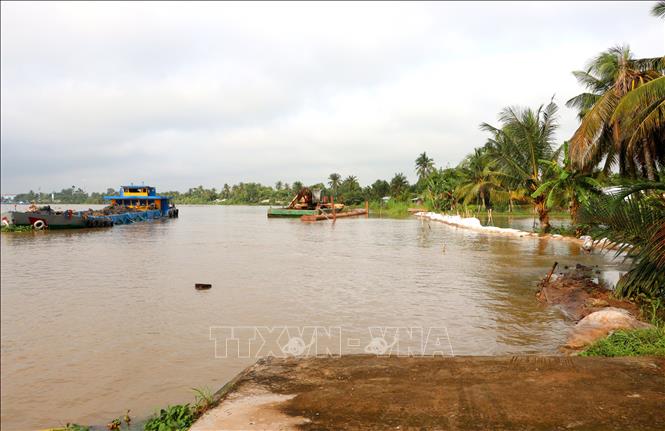 Khu vực sạt lở trên tuyến đê bao sông Măng đoạn qua xã Tân Long Hội, tỉnh Vĩnh Long. Ảnh: Lê Thúy Hằng – TTXVN 