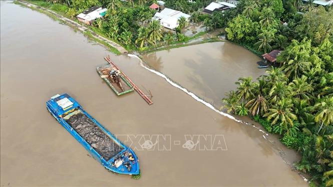 Sạt lở trên tuyến đê bao sông Măng đoạn qua xã Tân Long Hội, tỉnh Vĩnh Long. Ảnh: Lê Thúy Hằng – TTXVN