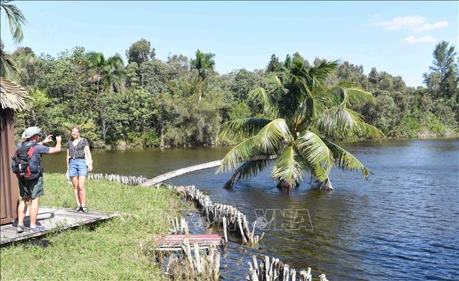 Du khách thăm khu bảo tồn sinh học Guama, tỉnh Matanzas của Cuba. Ảnh: Việt Hùng-p/v TTXVN tại Cuba