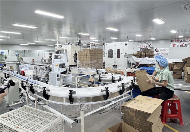 Dây truyền sản xuất giấy xuất khẩu của Công ty TNHH sản xuất Giấy Sùng Tả, Quảng Tây (Trung Quốc). Ảnh: Công Tuyên-PV TTXVN tại Trung Quốc