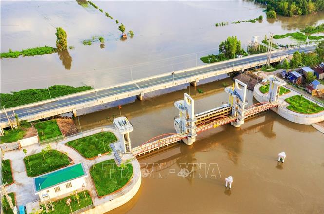 Cống Tha La được mở xả lũ, giúp kiểm soát, điều tiết lũ từ thượng nguồn Campuchia thoát nước ra biển Tây; đồng thời, tạo điều kiện để đưa phù sa từ sông Hậu vào cải tạo đồng ruộng. Ảnh: Công Mạo-TTXVN