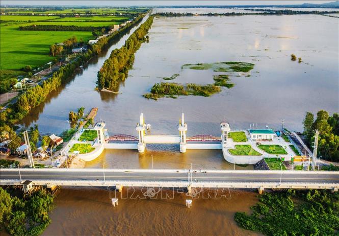 Cống Tha La giúp kiểm soát, điều tiết lũ từ thượng nguồn Campuchia thoát nước ra biển Tây, đưa phù sa từ sông Hậu vào cải tạo đồng ruộng, đảm bảo an toàn phục vụ sản xuất cho hơn 498.141 ha đất sản xuất của 35 phường, xã thuộc tỉnh An Giang và thành phố Cần Thơ. Ảnh: Công Mạo-TTXVN