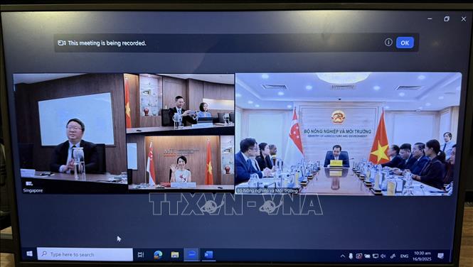 Quang cảnh lễ ký kết trực tuyến giữa Việt Nam và Singapore. Ảnh: TTXVN phát