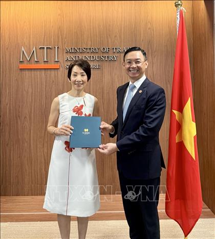 Đại sứ Việt Nam tại Singapore Trần Phước Anh tặng quà lưu niệm cho Bộ trưởng Bộ Môi trường và Bền vững kiêm Bộ trưởng phụ trách Quan hệ Thương mại Singapore Grace Fu. Ảnh: TTXVN phát