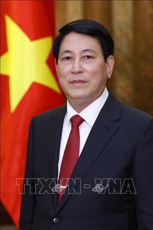 State President Luong Cuong. VNA Photo: Lâm Khánh